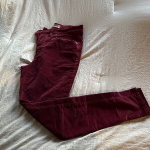 Burgundy Velvet Madewell Pants